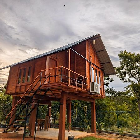 Lion Wood Treehouse Βίλα Talkote Εξωτερικό φωτογραφία