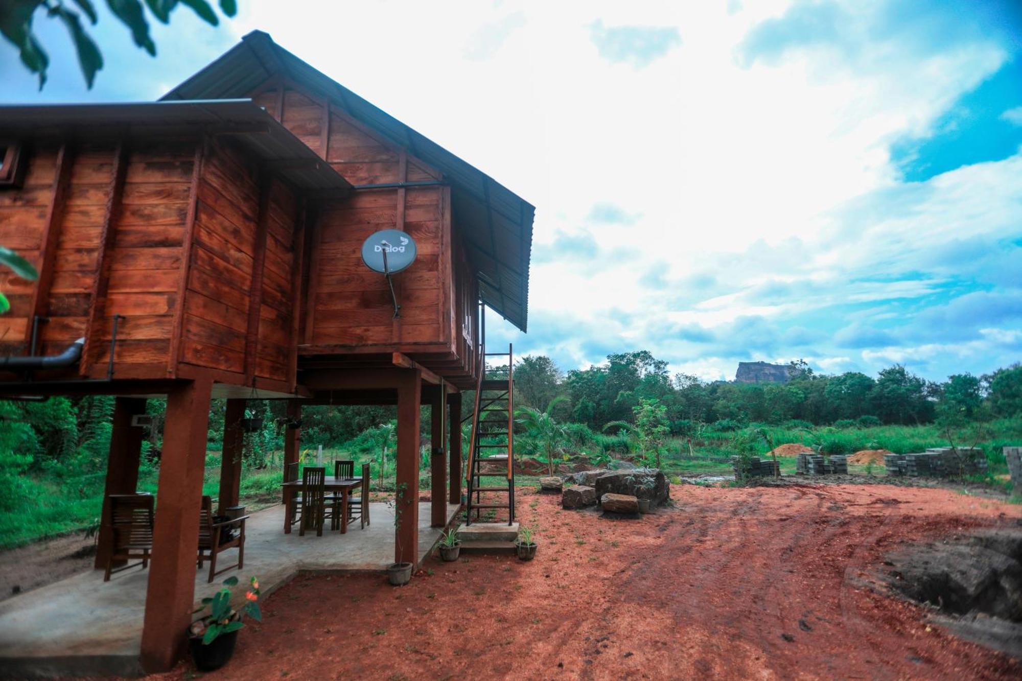 Lion Wood Treehouse Βίλα Talkote Εξωτερικό φωτογραφία