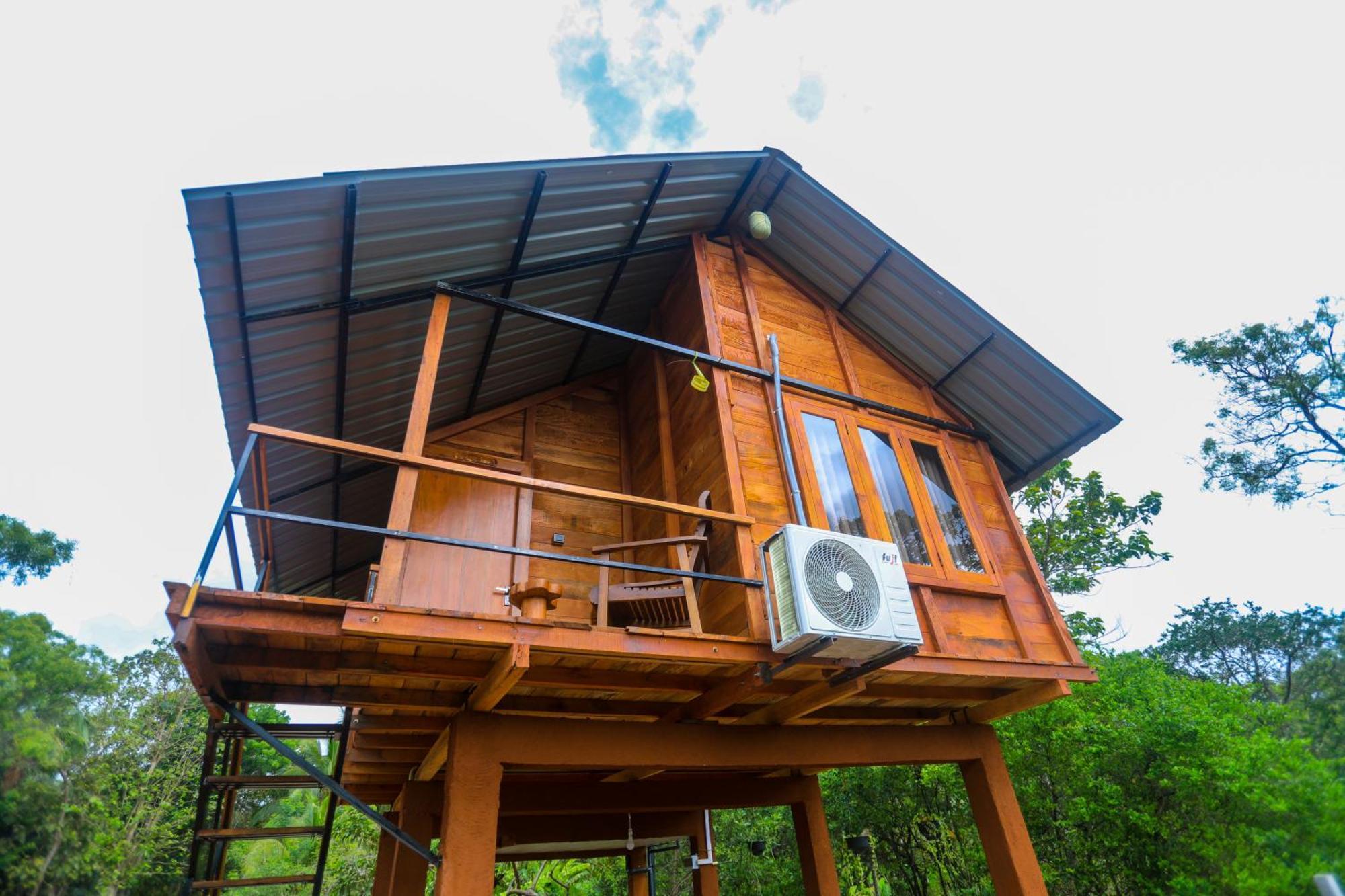 Lion Wood Treehouse Βίλα Talkote Εξωτερικό φωτογραφία