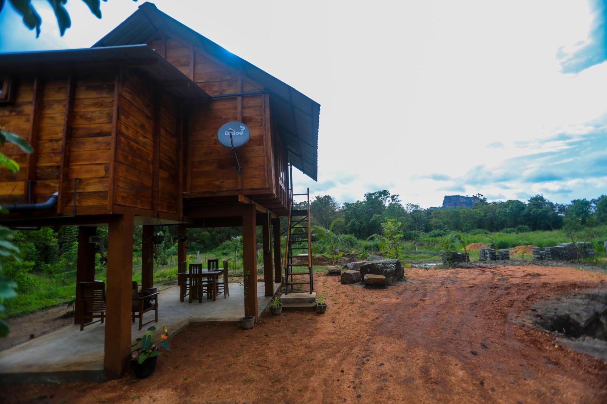 Lion Wood Treehouse Βίλα Talkote Εξωτερικό φωτογραφία
