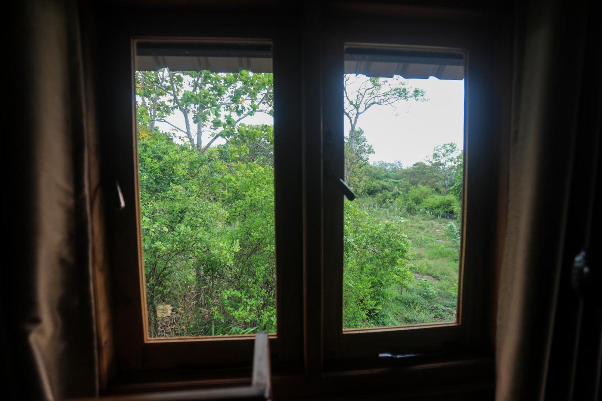 Lion Wood Treehouse Βίλα Talkote Εξωτερικό φωτογραφία