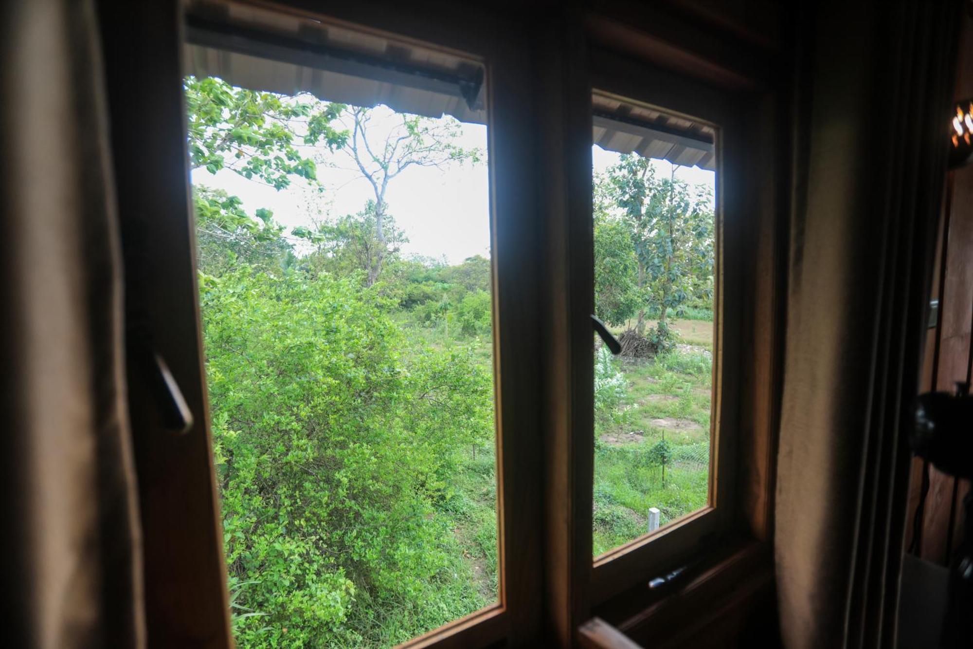 Lion Wood Treehouse Βίλα Talkote Εξωτερικό φωτογραφία
