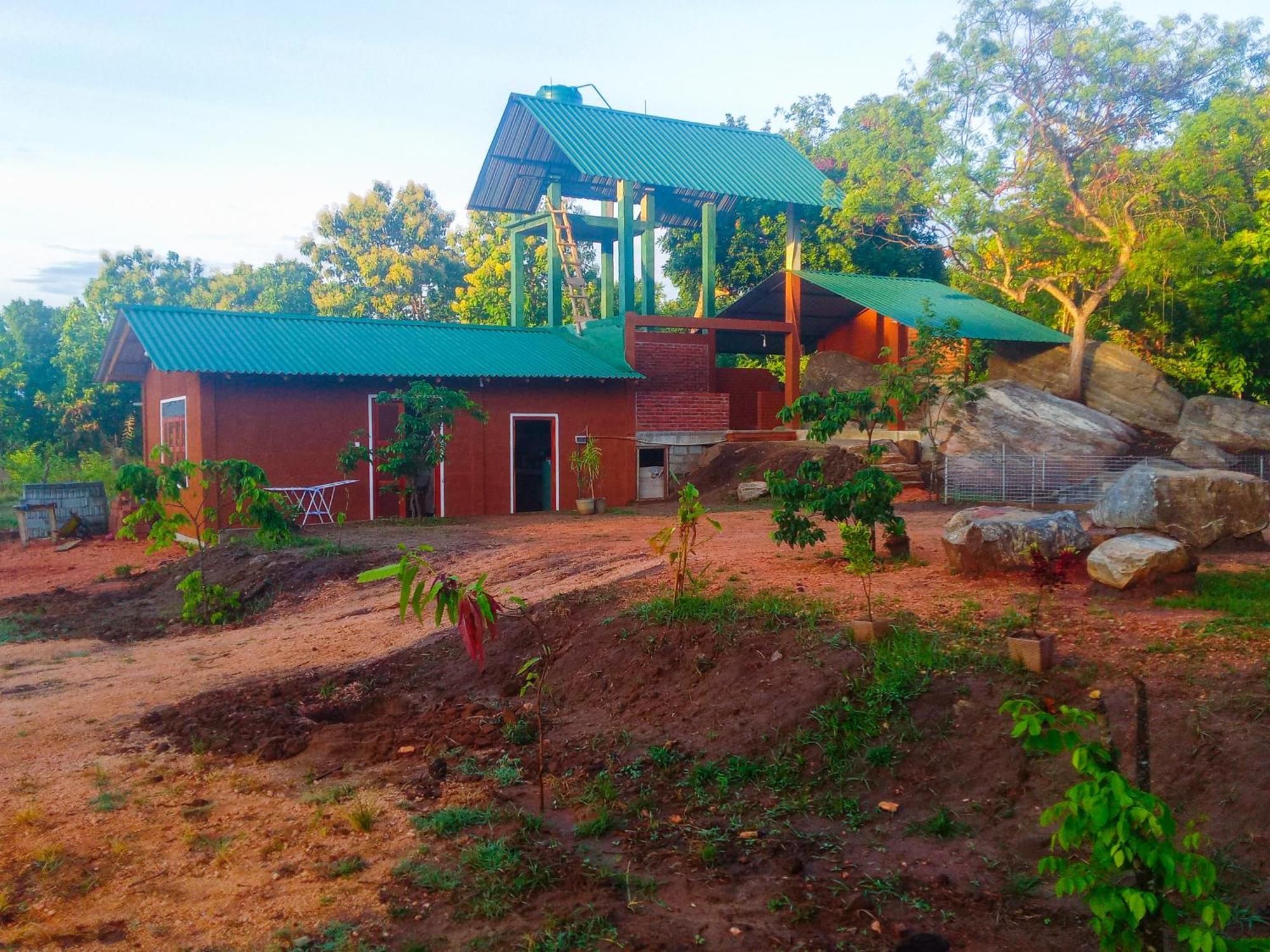Lion Wood Treehouse Βίλα Talkote Εξωτερικό φωτογραφία