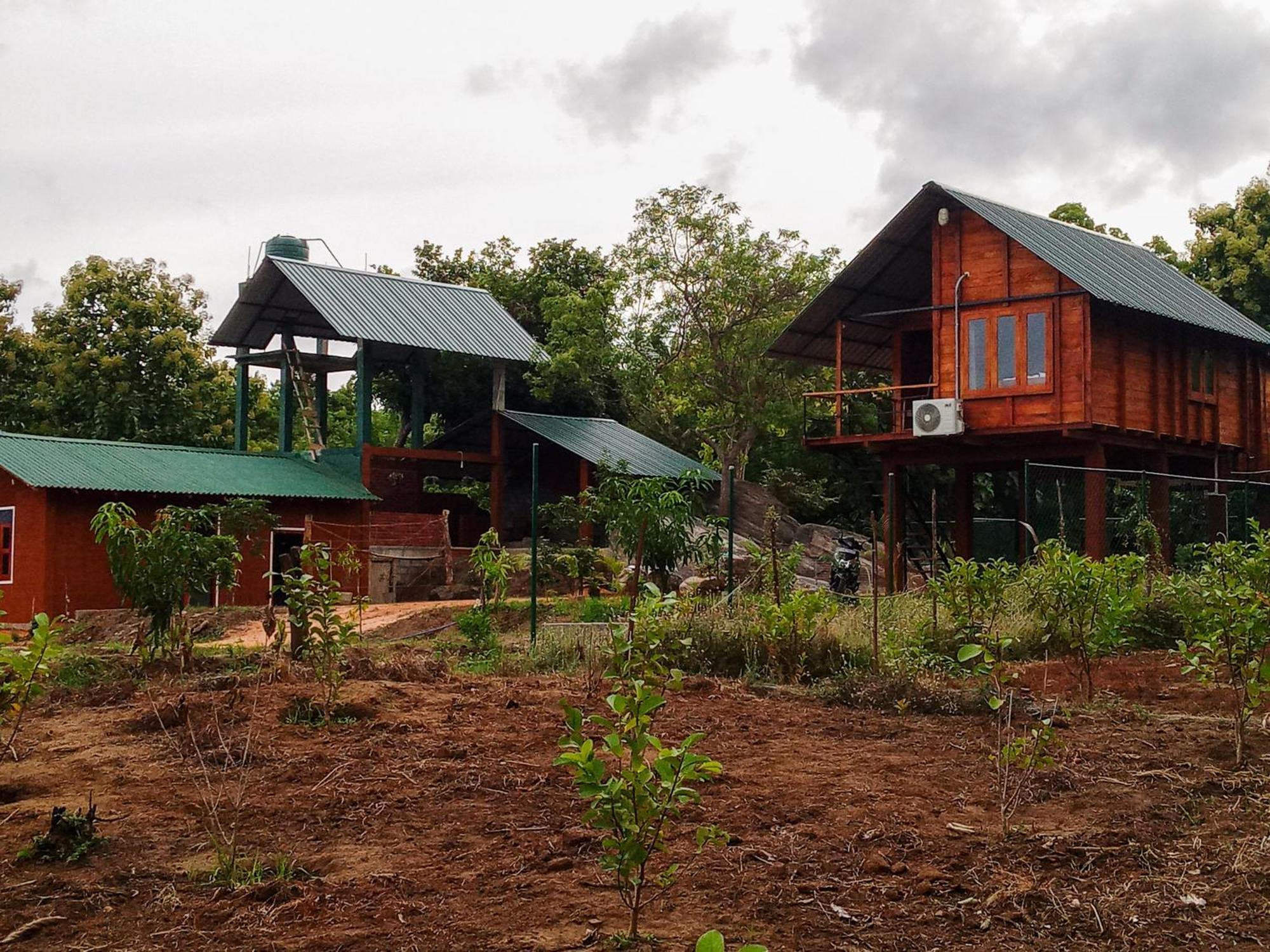 Lion Wood Treehouse Βίλα Talkote Εξωτερικό φωτογραφία