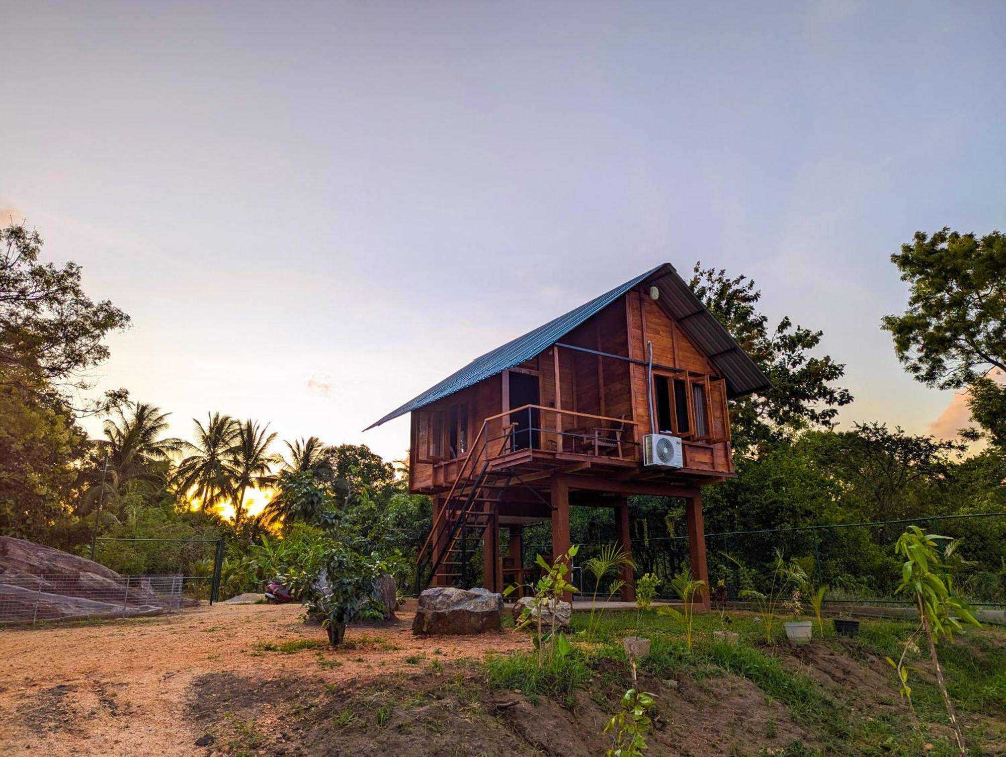 Lion Wood Treehouse Βίλα Talkote Εξωτερικό φωτογραφία